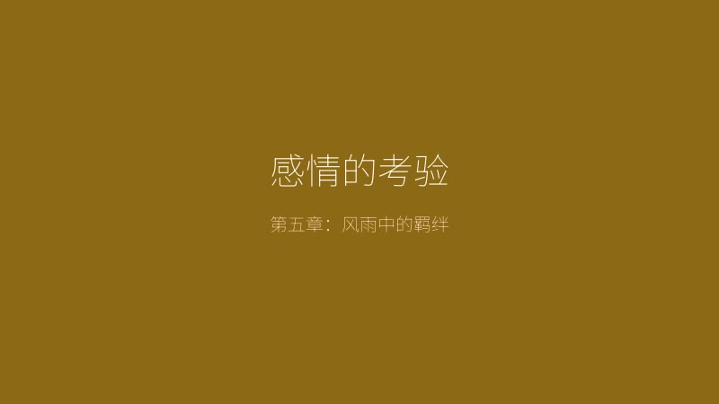 太妃物语游戏截图——感情的考验，风雨中角色们的羁绊更加深厚